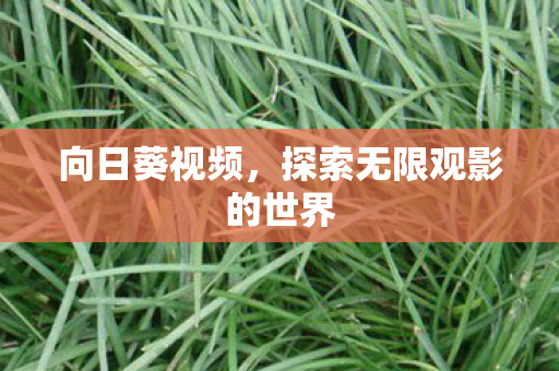探索无限观影的世界图片