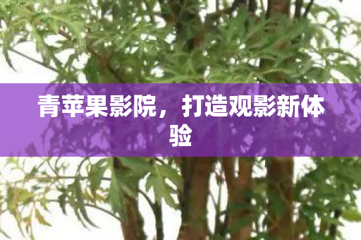 打造观影新体验图片