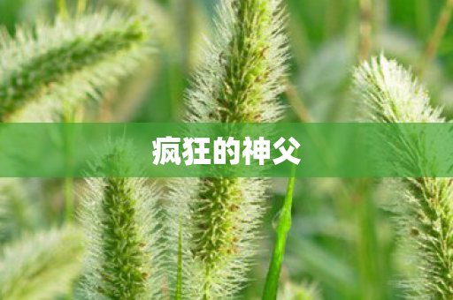 疯狂的神父图片