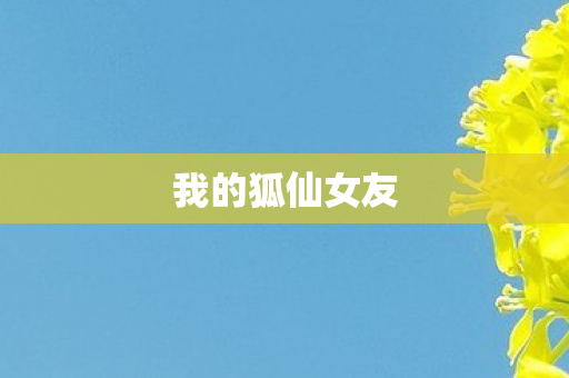 我的狐仙女友图片