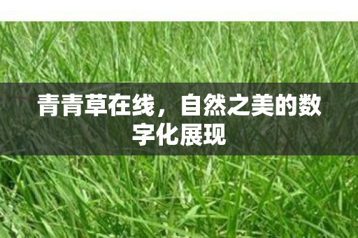 自然之美的数字化展现图片