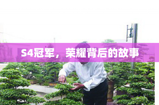 荣耀背后的故事图片