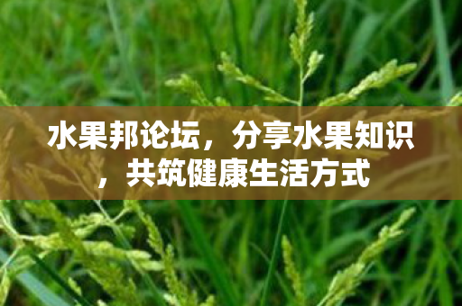 共筑健康生活方式图片