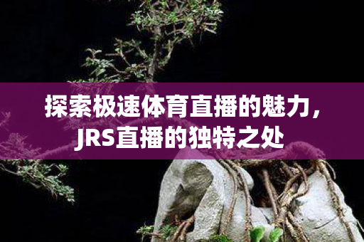 探索极速体育直播的魅力图片