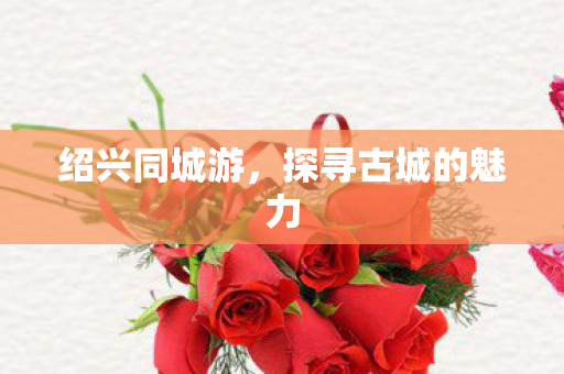 探寻古城的魅力图片