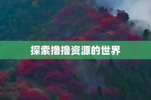 探索撸撸资源的世界图片