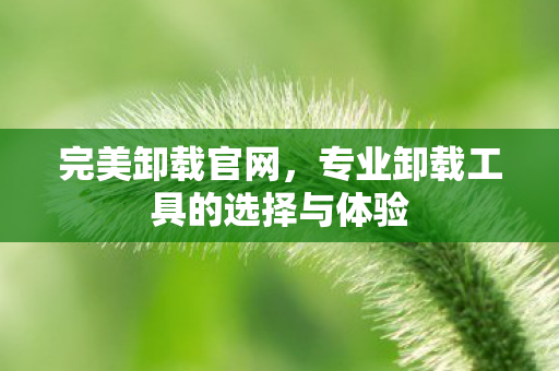 专业卸载工具的选择与体验图片