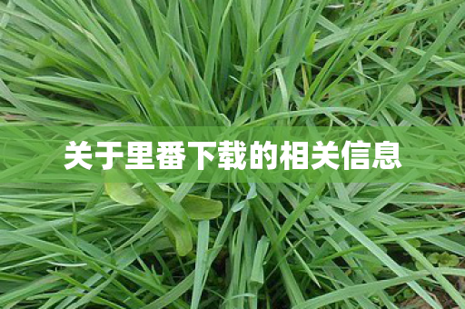 关于里番下载的相关信息图片