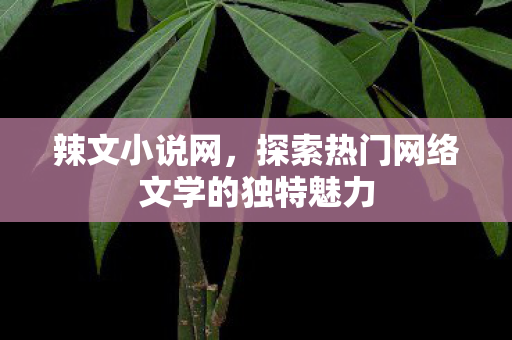 探索热门网络文学的独特魅力图片