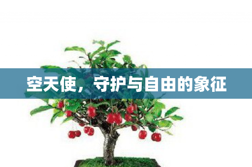 守护与自由的象征图片