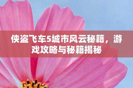侠盗飞车5城市风云秘籍图片