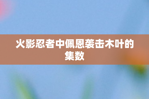 火影忍者中佩恩袭击木叶的集数图片