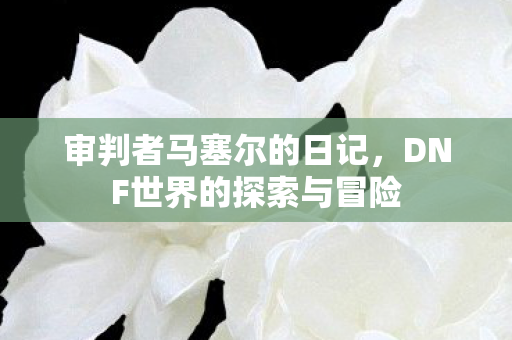 DNF世界的探索与冒险图片