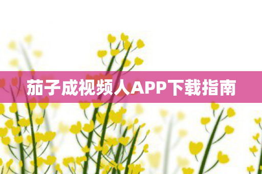 茄子成视频人APP下载指南图片