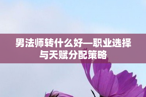 职业选择与天赋分配策略图片