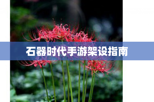 石器时代手游架设指南图片