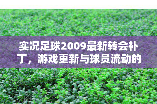 实况足球2009最新转会补丁图片