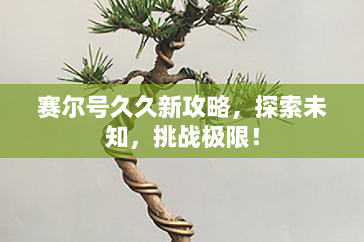 赛尔号久久新攻略图片