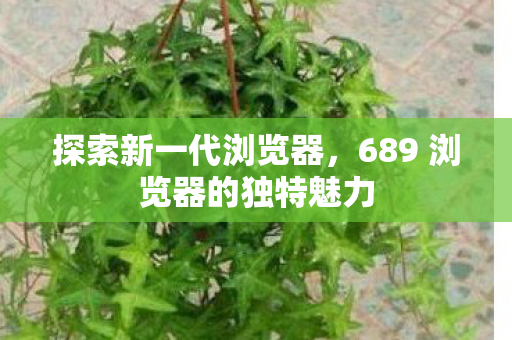 689 浏览器的独特魅力图片