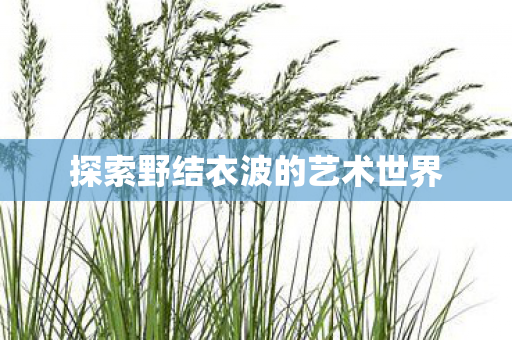 探索野结衣波的艺术世界图片