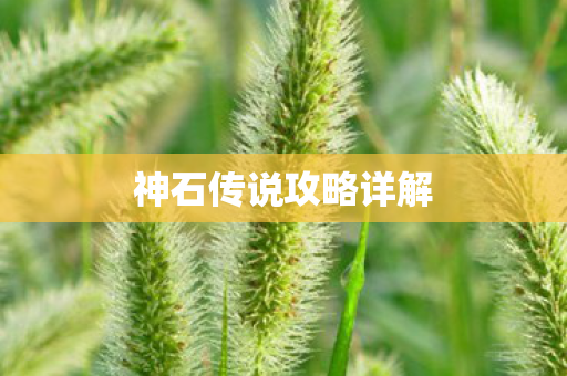 神石传说攻略详解图片