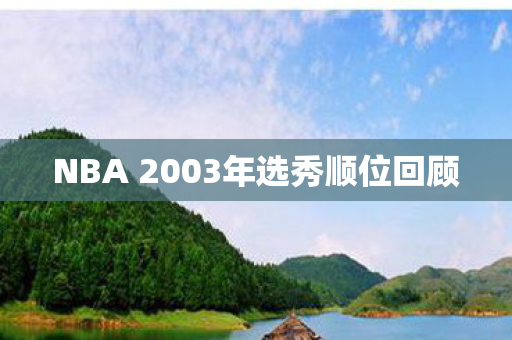 NBA 2003年选秀顺位回顾图片