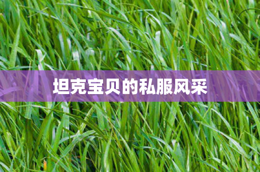 坦克宝贝的私服风采图片
