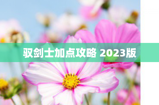 驭剑士加点攻略 2023版图片