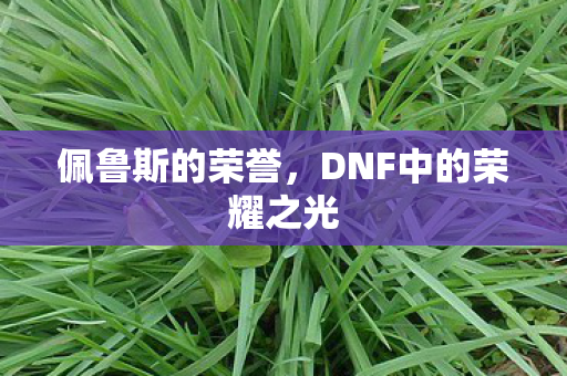 DNF中的荣耀之光图片