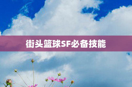 街头篮球SF必备技能图片