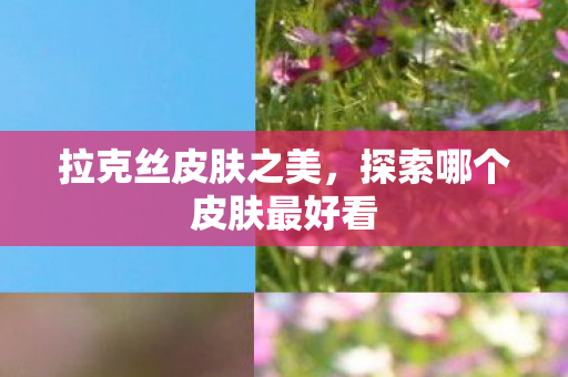探索哪个皮肤最好看图片