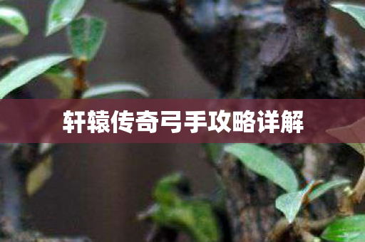 轩辕传奇弓手攻略详解图片
