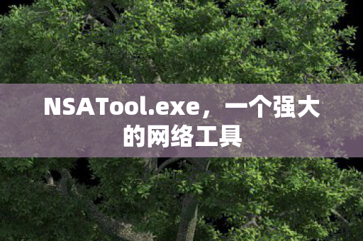 一个强大的网络工具图片