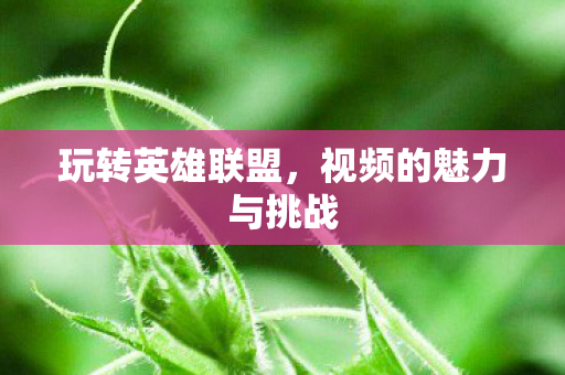 视频的魅力与挑战图片