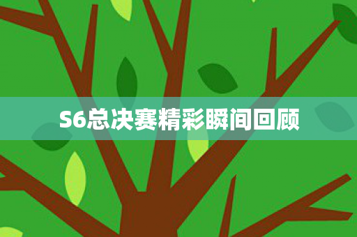S6总决赛精彩瞬间回顾图片