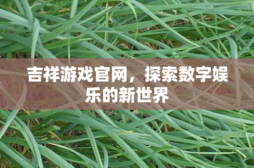 探索数字娱乐的新世界图片
