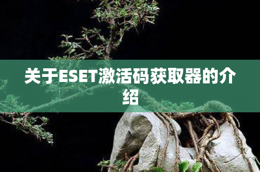 关于ESET激活码获取器的介绍图片