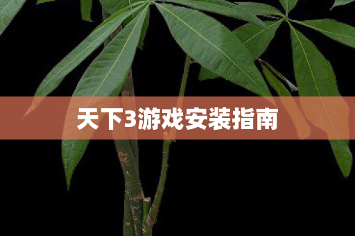 天下3游戏安装指南图片