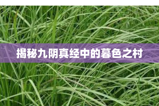 揭秘九阴真经中的暮色之村图片