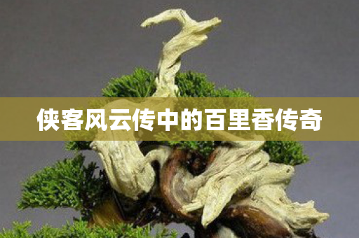 侠客风云传中的百里香传奇图片