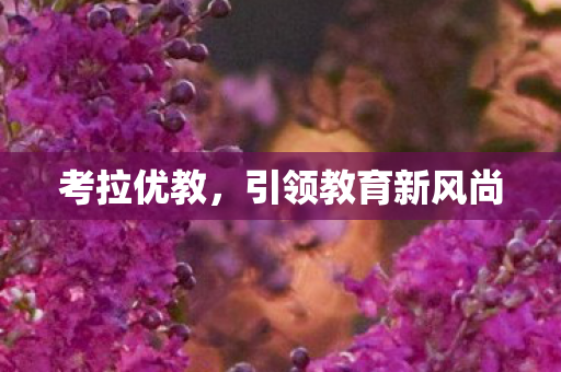 引领教育新风尚图片
