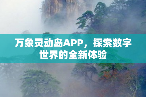 探索数字世界的全新体验图片
