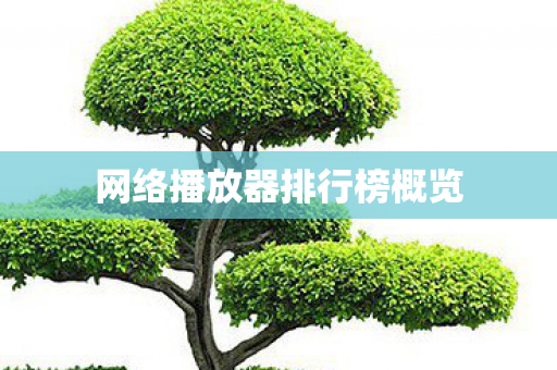 网络播放器排行榜概览图片