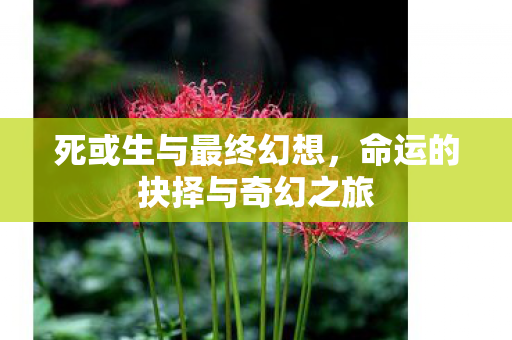 命运的抉择与奇幻之旅图片