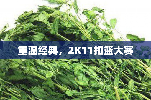 2K11扣篮大赛图片