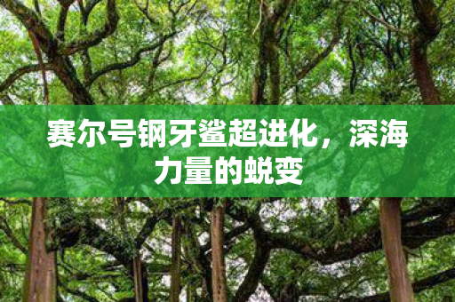 赛尔号钢牙鲨超进化图片
