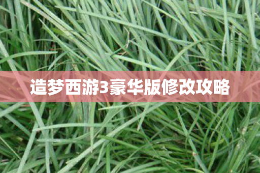造梦西游3豪华版修改攻略图片