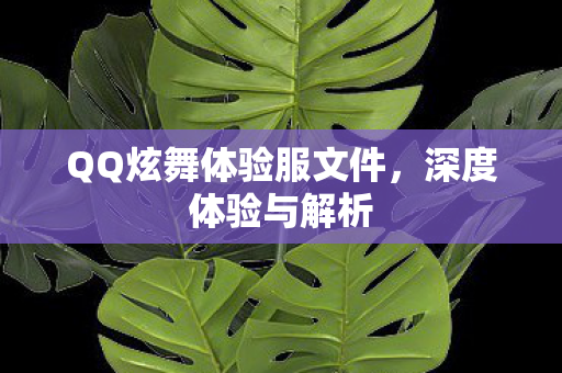 QQ炫舞体验服文件图片