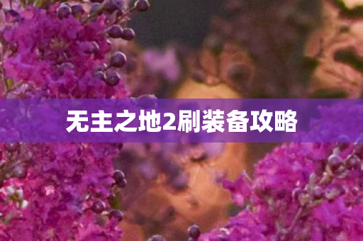 无主之地2刷装备攻略图片