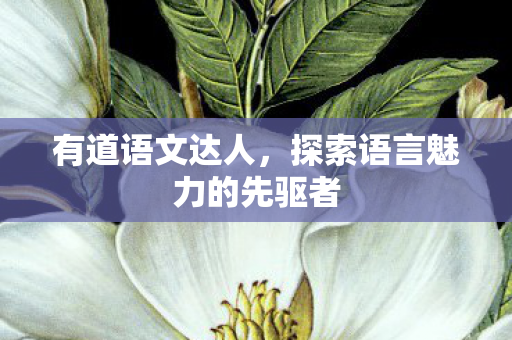 探索语言魅力的先驱者图片